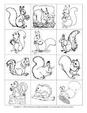 Eichhörnchen-Memo-Aufdeckspiel-1-sw.pdf